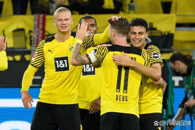 关于霍芬海姆不敌多特蒙德，遗憾阶段性失利的信息