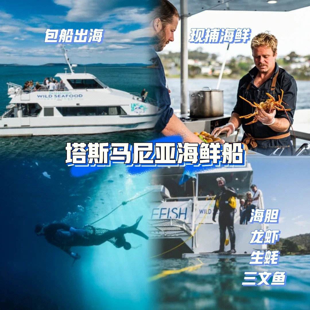 杏彩体育中国官网-塔斯马尼亚联主场迎战布宜诺斯艾利斯独立，锋线火力引爆看点的简单介绍