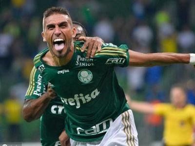 杏彩体育app-帕尔梅拉斯小将表现抢眼，劲旅添新力量的简单介绍