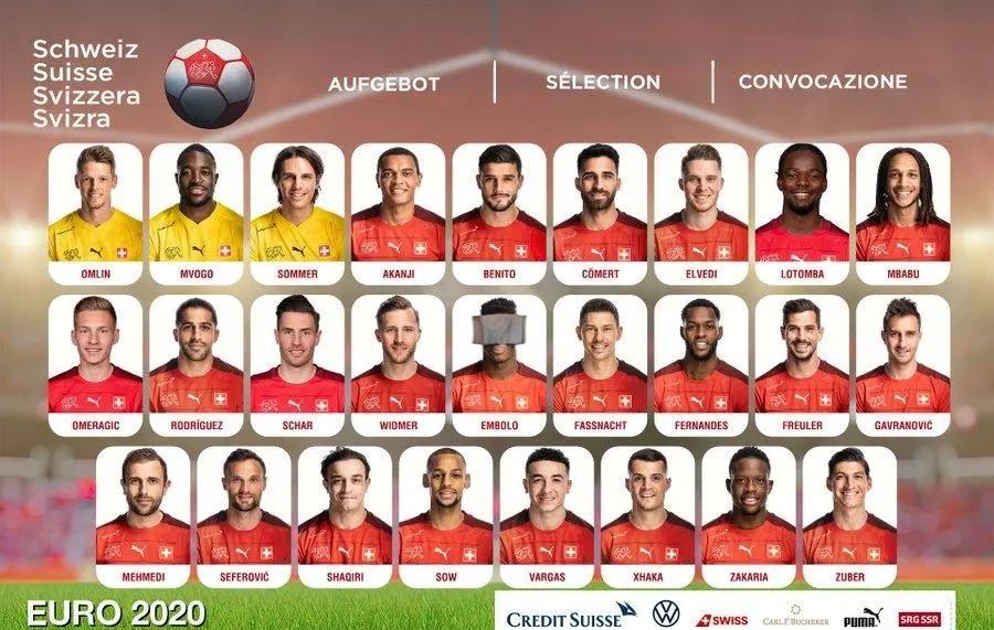 瑞士队在欧洲杯预选赛中搏斗晋级